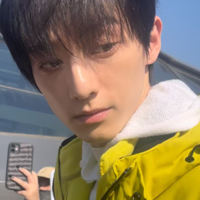 纯