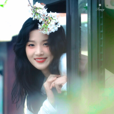 唯一纯白的茉莉花