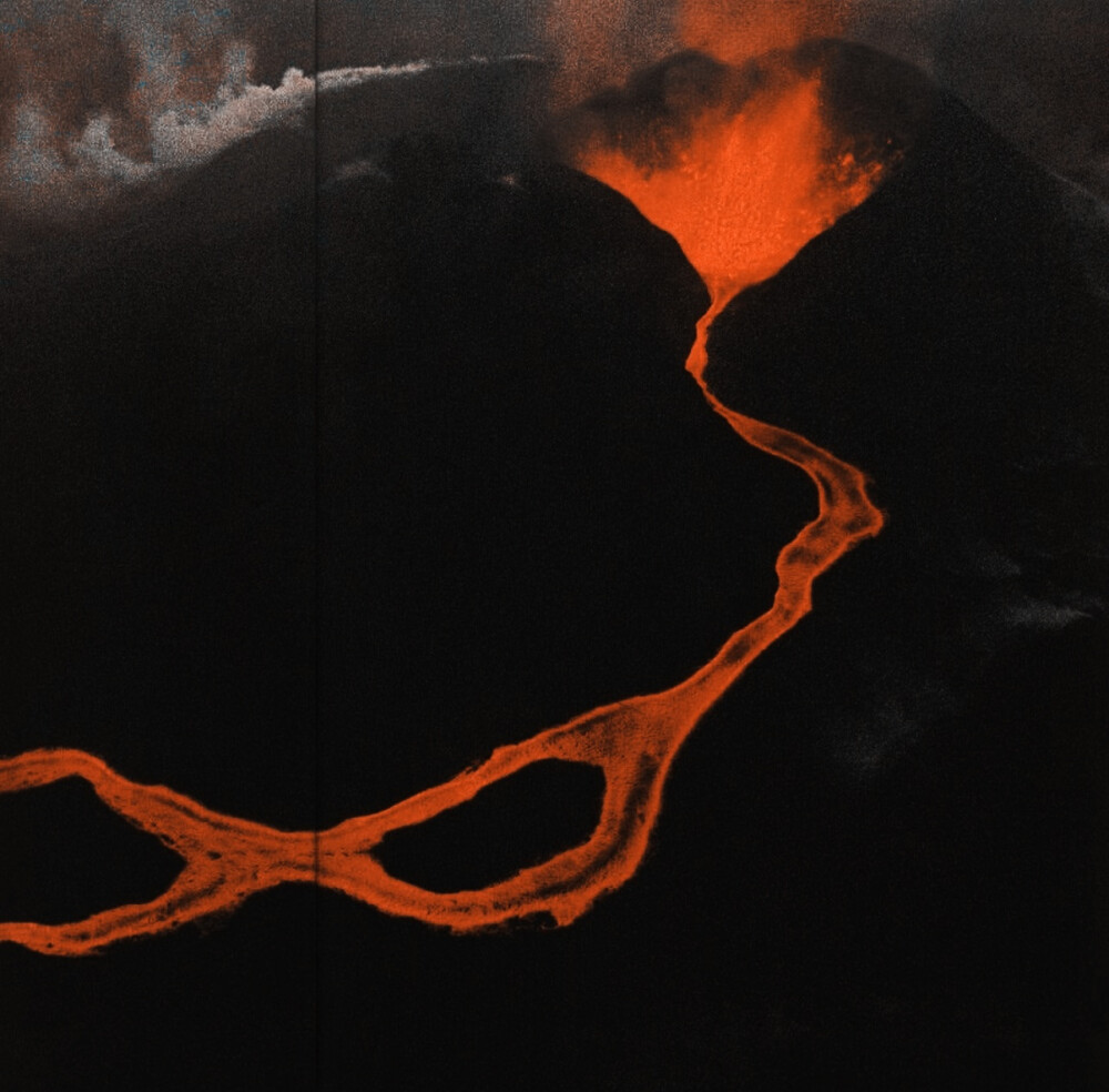  ：金蘭語和金蘭花