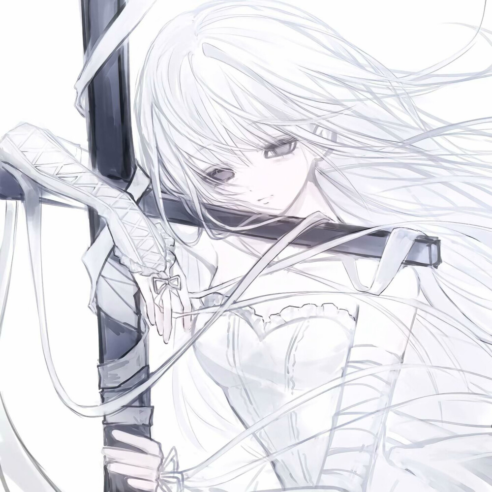 白鸟｜公开摸鱼