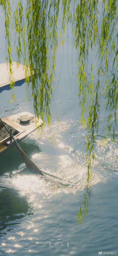 柳畔浮光