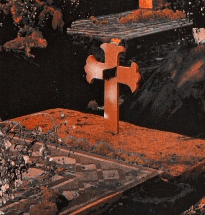  ：金蘭語和金蘭花