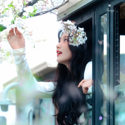 唯一纯白的茉莉花