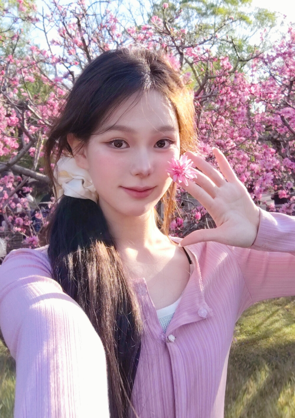樱花^