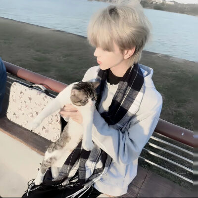 权威 男头