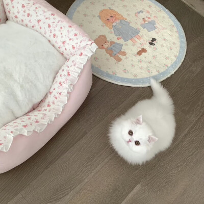 ins
