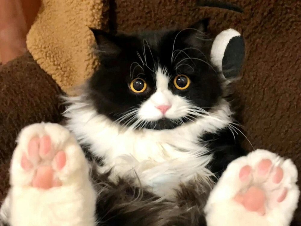 ‎#ليس قوة خارقة