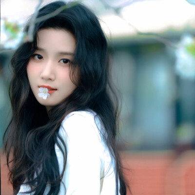 唯一纯白的茉莉花