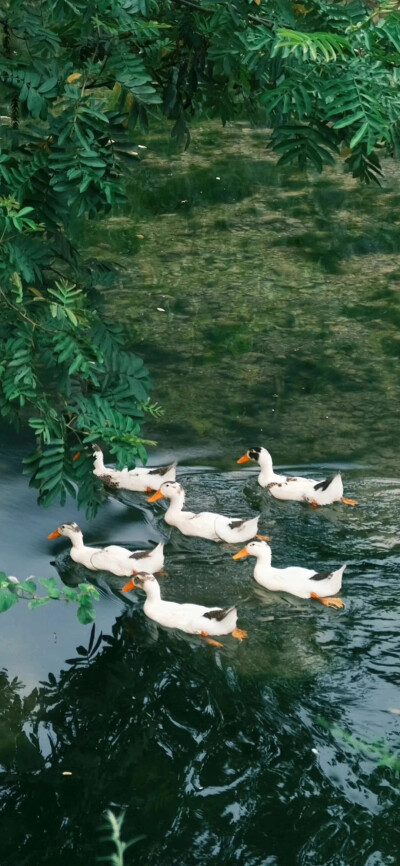 。