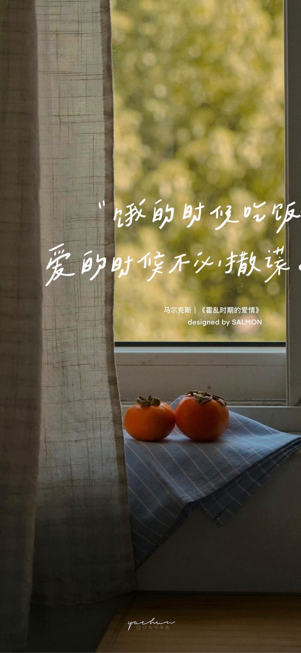 窗边柿语