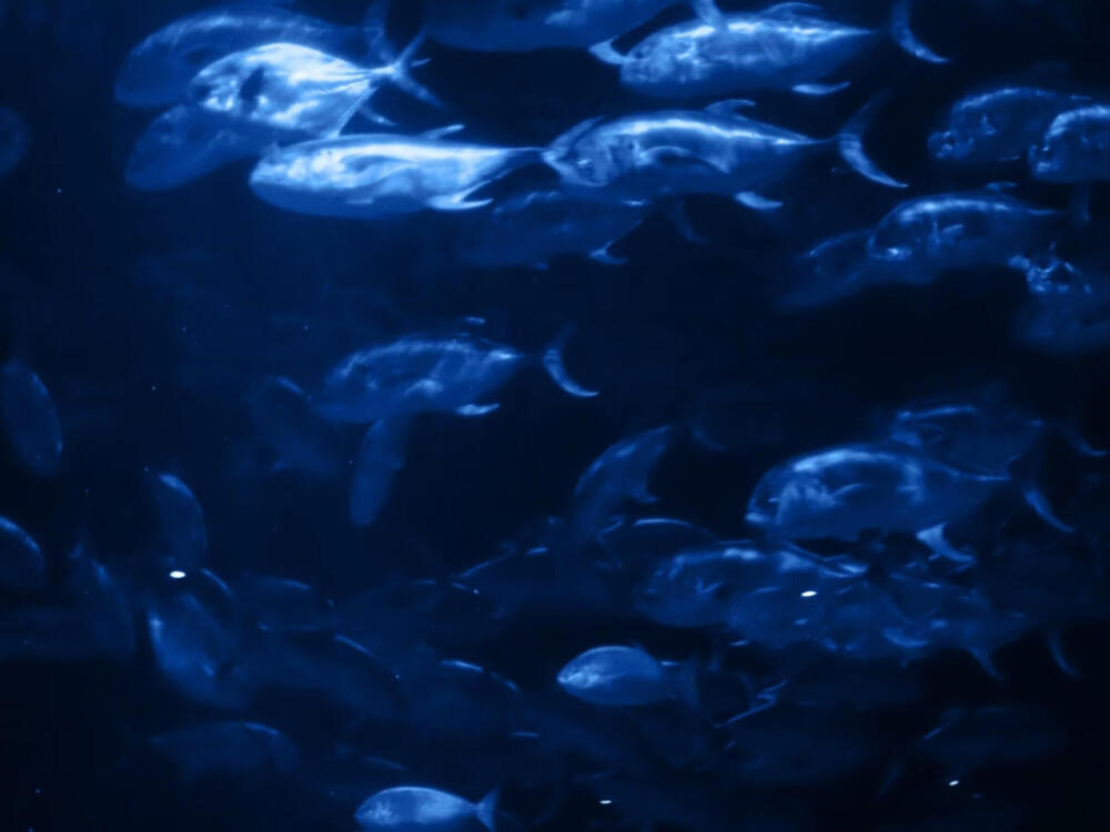 就是爱你爱着你