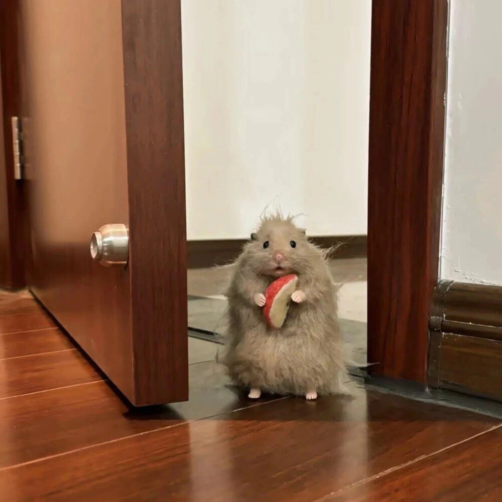 ‎#ليس قوة خارقة