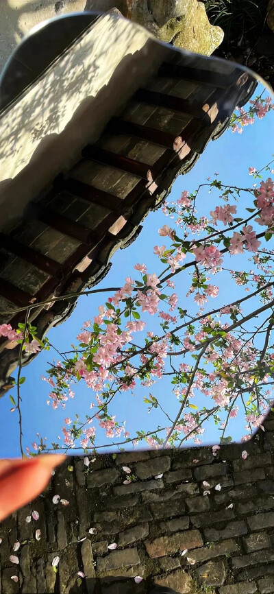 壁纸