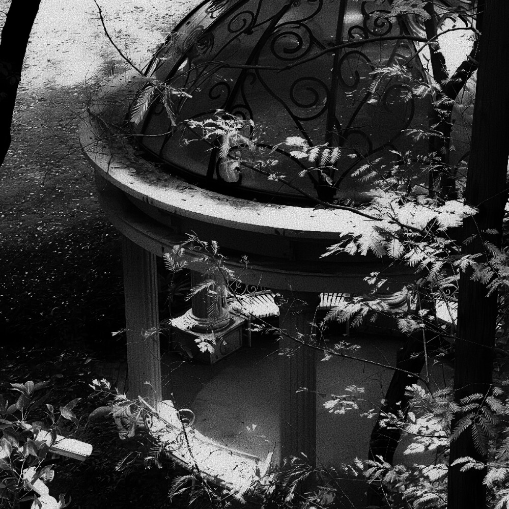 〈陷阱〉：出逃后的世界