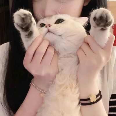 边角料情头