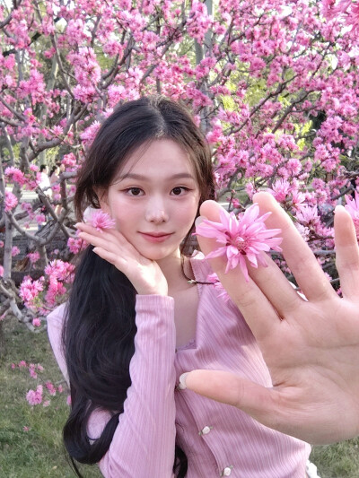 樱花^