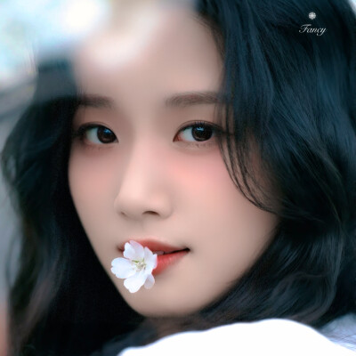 唯一纯白的茉莉花