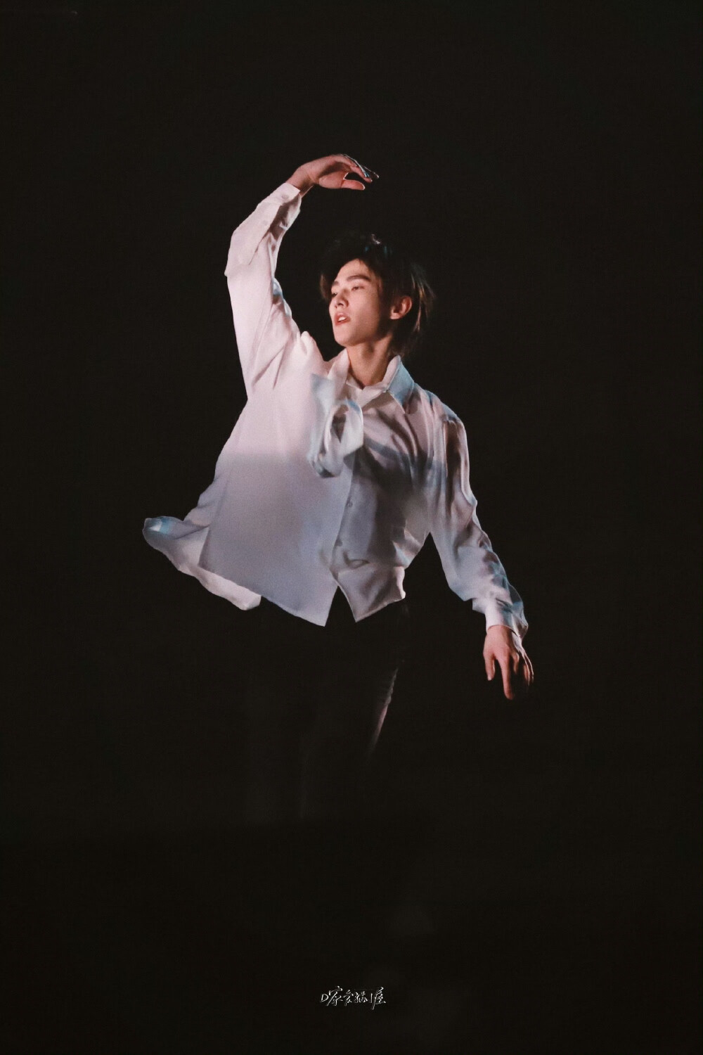 杨洋