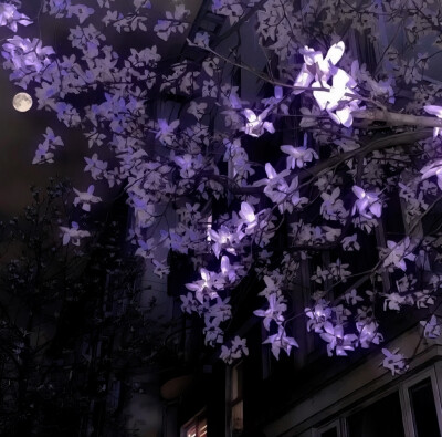 回到最初的房间