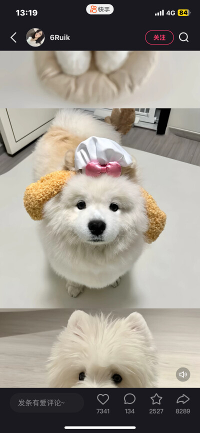 自用