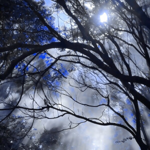 心里的叹息化作雨 . 