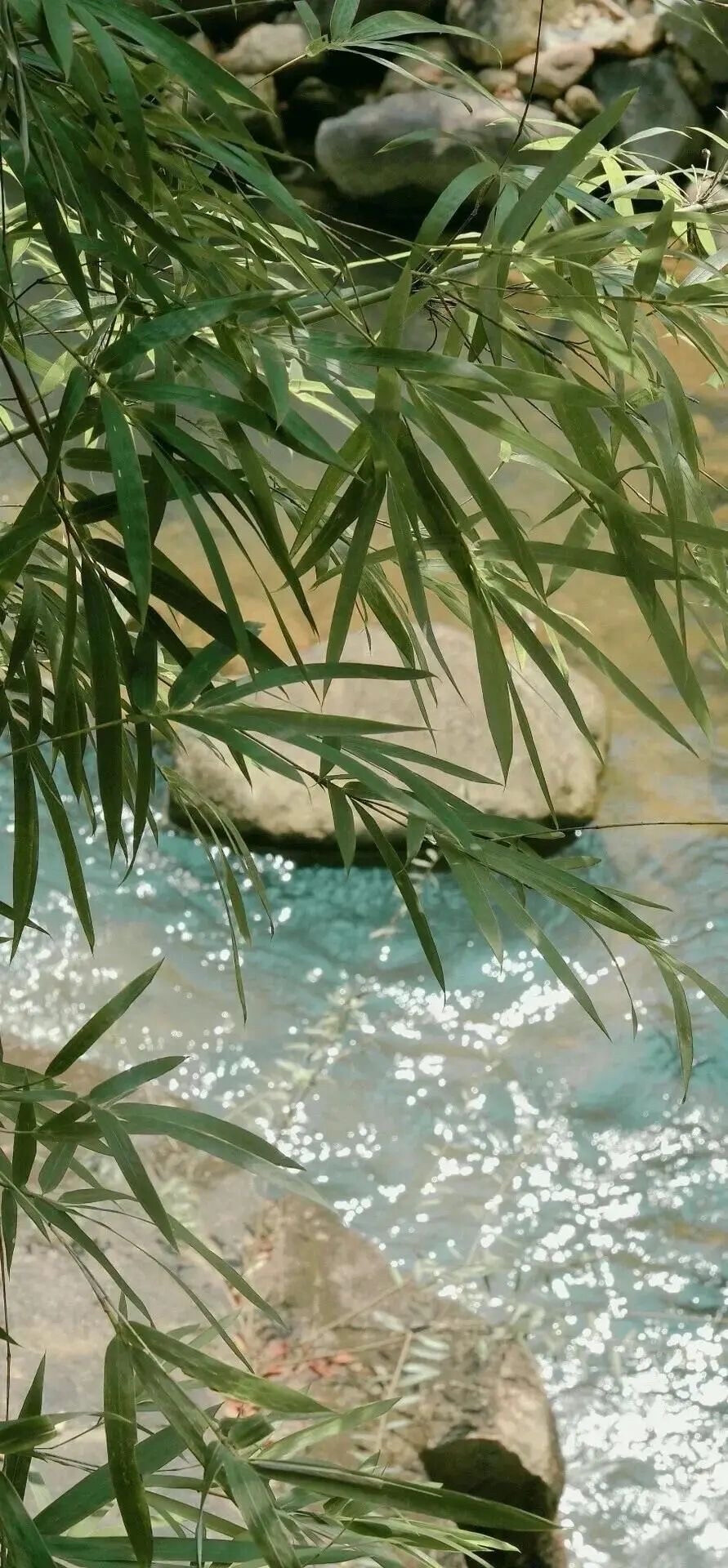 苹果壁纸