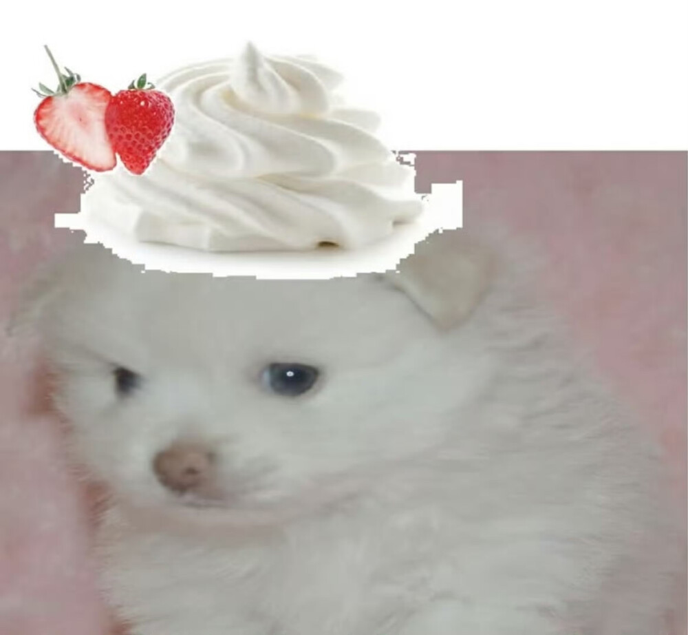 =⩌⩊⩌=