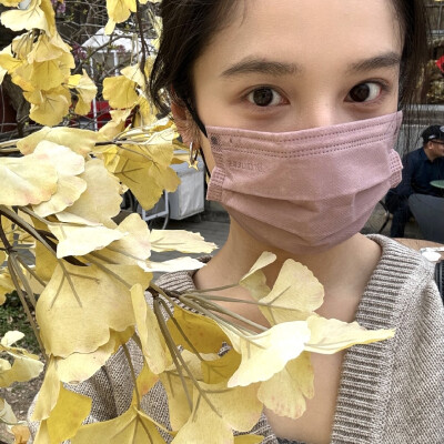 张婧仪