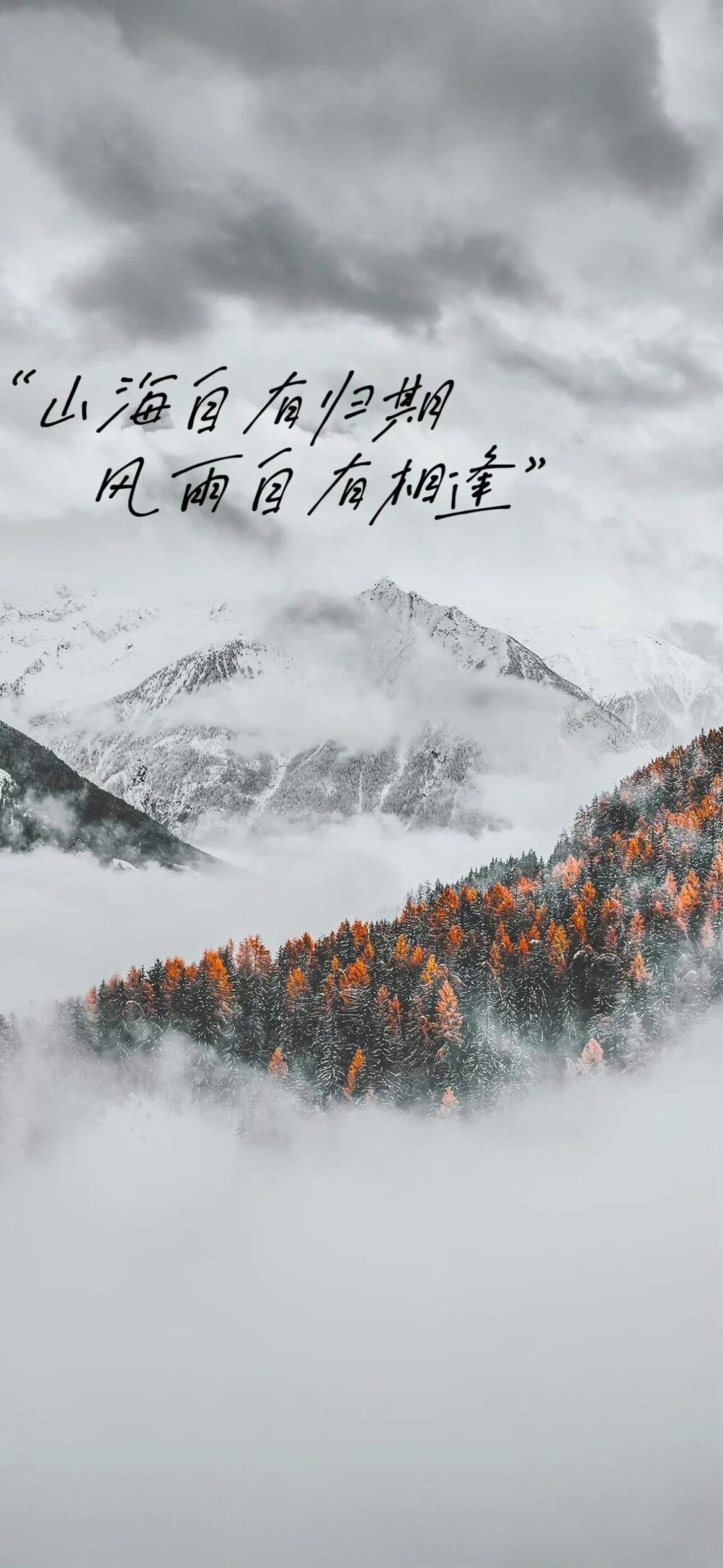 壁纸 手机壁纸 励志
