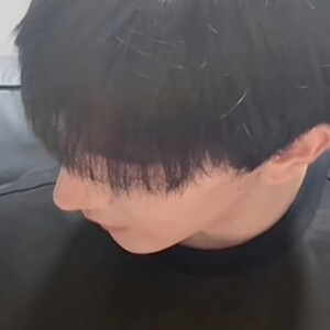 夏之光