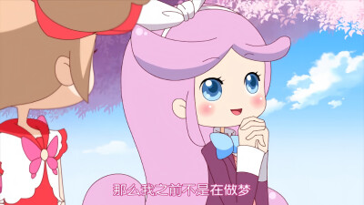 小花仙 安安千韩