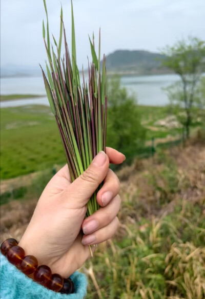 记忆