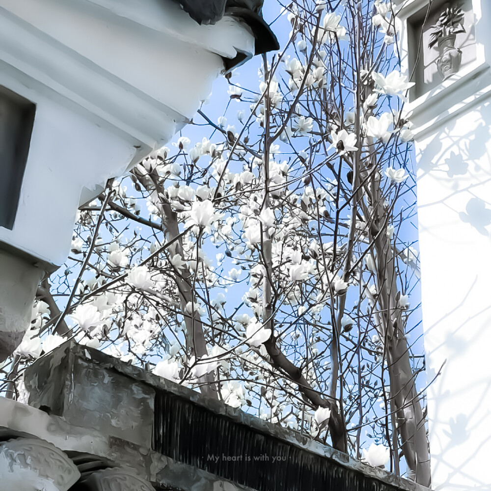 ·年下 #先輩、付き合ってください！
——
‖林允儿‖曺柔理‖@项目组长@酒友
——
﹥“前辈，请和我交往吧！”
背景cr梦沉落于海