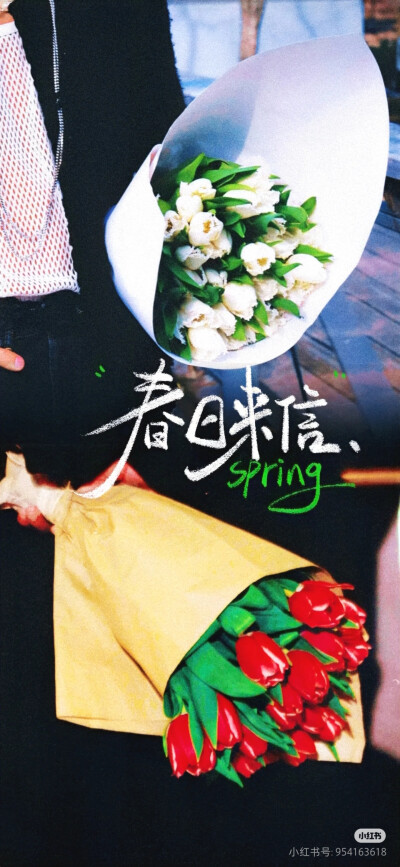 博君一肖