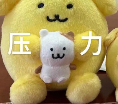 表情