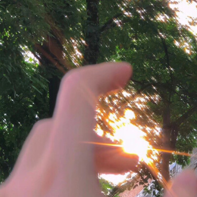 绿色背景图