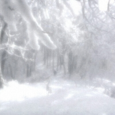 莫斯科下雪了，亲爱的请不要为我哭泣。