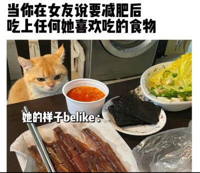 我的世界:床，女友，猫