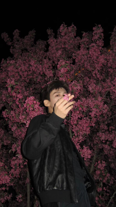 白敬亭