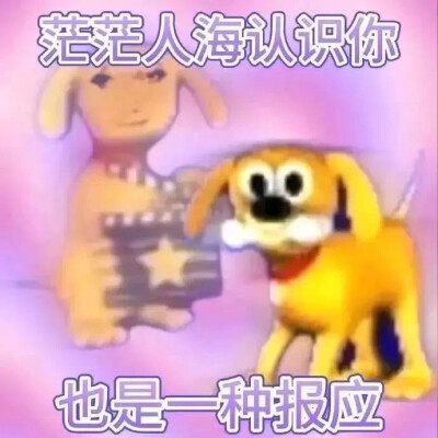 表情