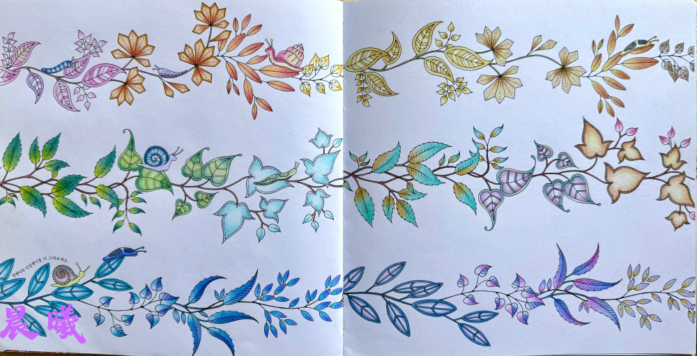 秘密花园