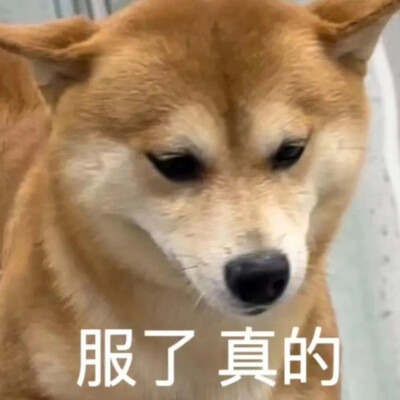表情