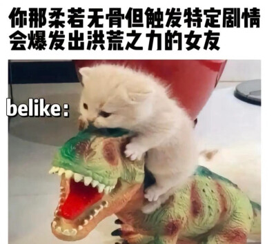 我的世界:床，女友，猫