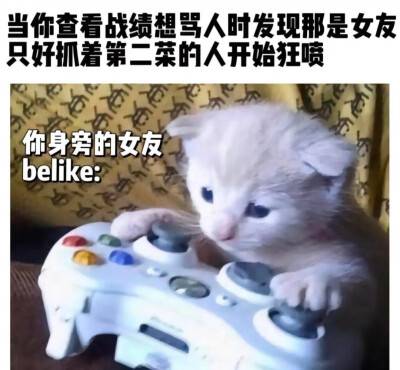 我的世界:床，女友，猫