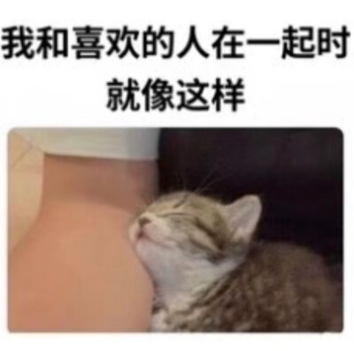 我的世界:床，女友，猫