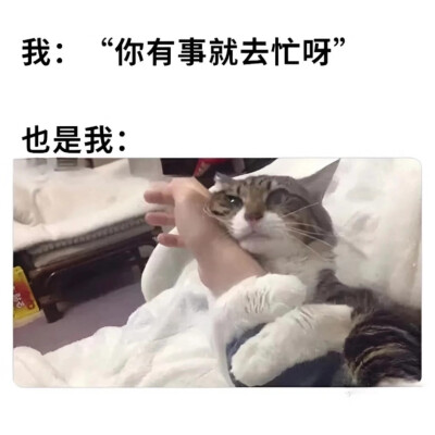 我的世界:床，女友，猫