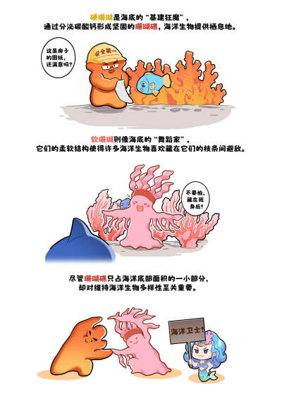 骨骼！！珊瑚是珊瑚虫的骨骼！