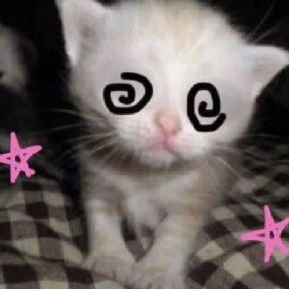 neko