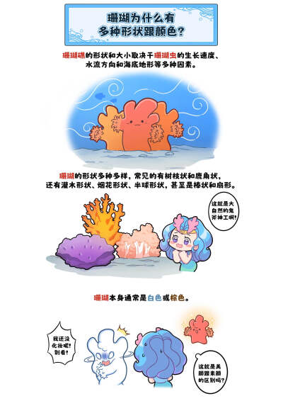 骨骼！！珊瑚是珊瑚虫的骨骼！