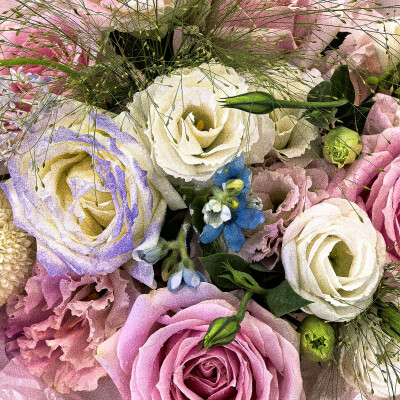 . ⁺ ⊹lovely .˚˖。 日常